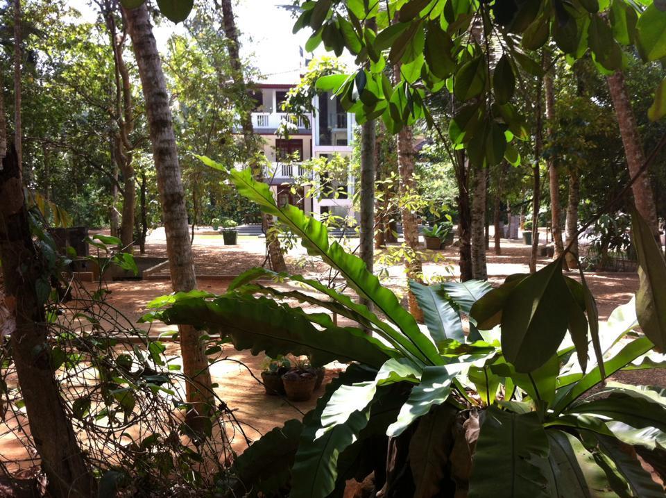 Bed and Breakfast Gem Field Rest Ratnapura Exterior foto